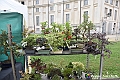 VBS_3479 - Floreal 2023 - Vivere con le piante